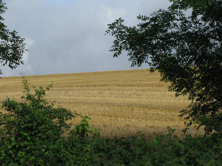 vue sur meuse0007.jpg